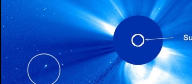 Se trata de un raro cometa resistente y solitario Se trata de un raro cometa resistente y solitario