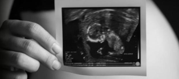 El embarazo ya no es exclusivamente para mujeres El embarazo ya no es exclusivamente para mujeres