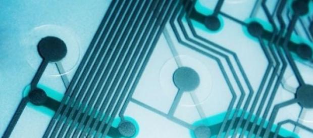 Gemalto : le leader global des cartes SIM Gemalto : le leader global des cartes SIM
