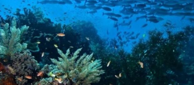 El agua de mar, una fuente de salud. Es gratis. El agua de mar, una fuente de salud. Es gratis.