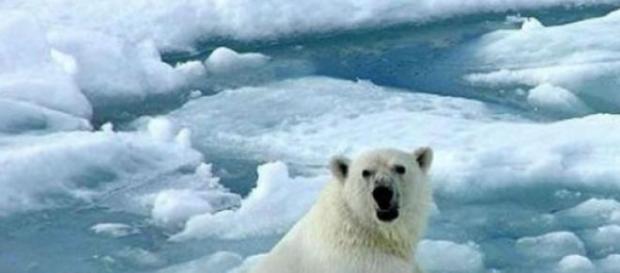 Urge adaptar legislaciones por cambio climatico Urge adaptar legislaciones por cambio climatico