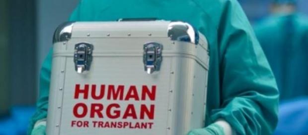 Avanpremiera! primul transplant de cap Avanpremiera! primul transplant de cap