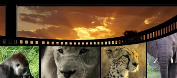 Os piores filmes do cinema dos últimos tempos Os piores filmes do cinema dos últimos tempos