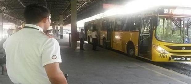 Vigilantes já atenderam à ocorrências Vigilantes já atenderam à ocorrências