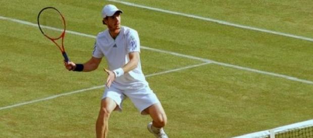 Andy Murray rises two places to number four Andy Murray rises two places to number four