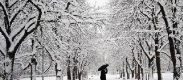 Fuertes lluvias y nevadas asolan España Fuertes lluvias y nevadas asolan España