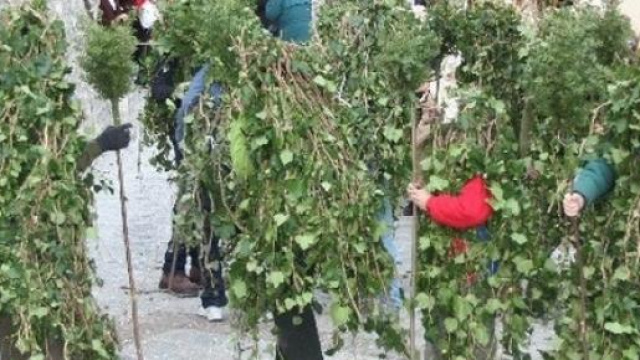 Carnevale 2015 Satriano e Sciacca: eventi e date