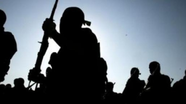 Isis giustizia pilota giordano