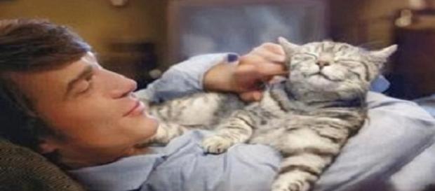 la conexión entre el amo y el felino satisfecho la conexión entre el amo y el felino satisfecho