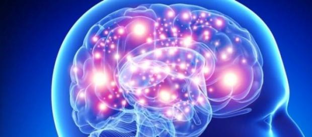 La clave está en la estimulación neuronal La clave está en la estimulación neuronal