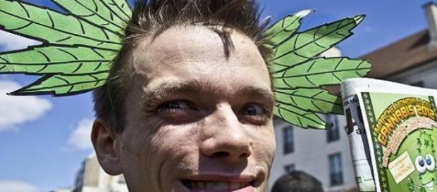 La France finira-t-elle par légaliser le cannabis? La France finira-t-elle par légaliser le cannabis?