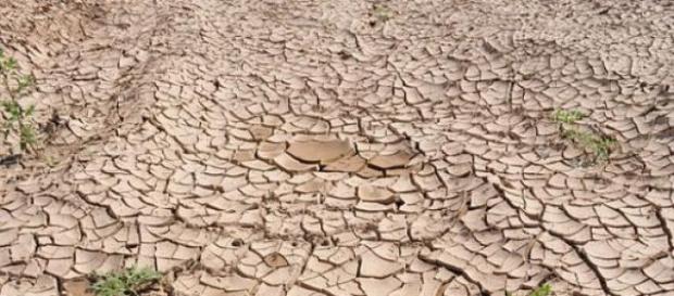 Medio ambiente podría purificarse por completo Medio ambiente podría purificarse por completo