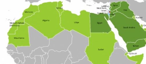 Zona MENA: la lingua araba nel mondo