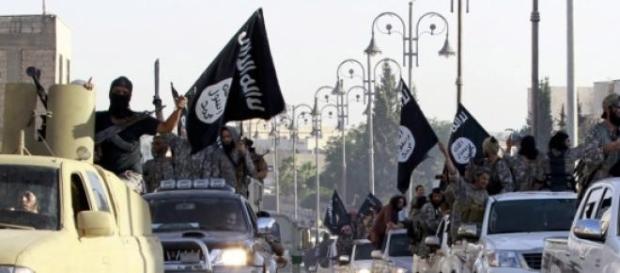 Células jihadistas "recrutam". Células jihadistas "recrutam".