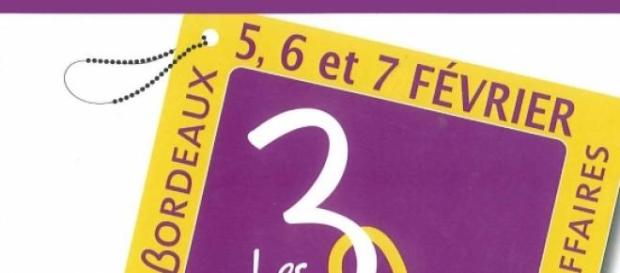 Affiche des braderies d'hiver 2015 Affiche des braderies d'hiver 2015