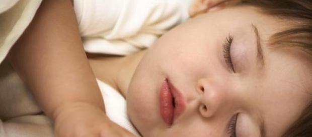 Dormir una siesta mejora el aprendizaje Dormir una siesta mejora el aprendizaje