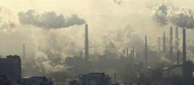 Existen soluciones a este grave problema ambiental Existen soluciones a este grave problema ambiental
