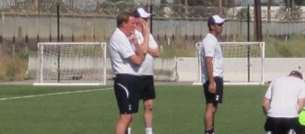 Harry Redknapp is weighing up his options Harry Redknapp is weighing up his options