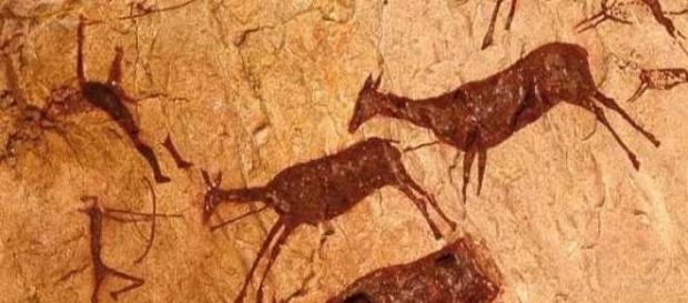Cacería prehistórica tenía un sentido social Cacería prehistórica tenía un sentido social
