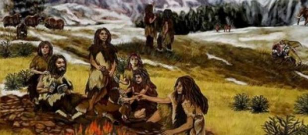 Cocinar los alimentos ayudó a la evolución humana Cocinar los alimentos ayudó a la evolución humana