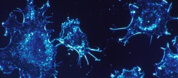 Le cancer, fléau du 21ème siècle. Le cancer, fléau du 21ème siècle.