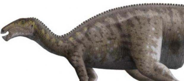 Se trata de especies de gran valor científico Se trata de especies de gran valor científico