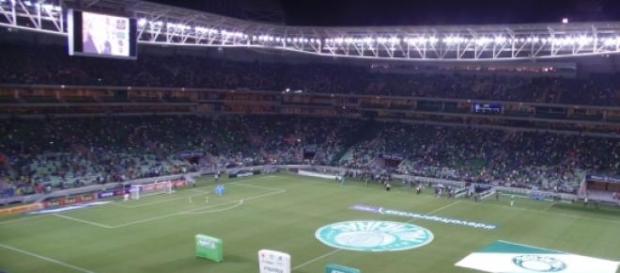 Torcedor palmeirense precisa ter calma Torcedor palmeirense precisa ter calma