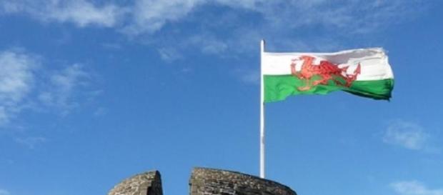 Welsh pride restored after defeating world champs Welsh pride restored after defeating world champs