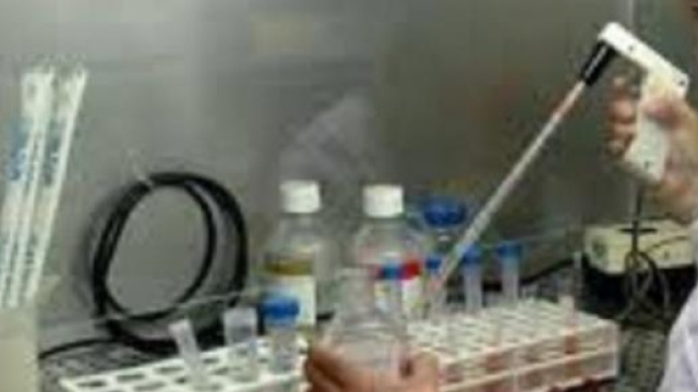 umore al pancreas: ecco come allungare la vita 