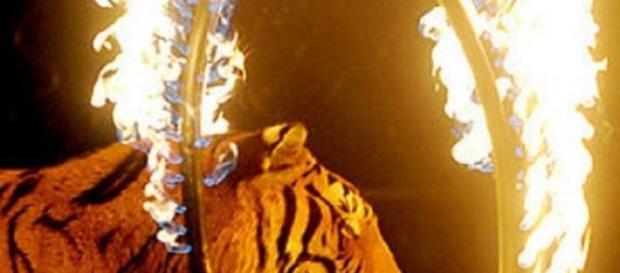 Associações estão contra a produção do filme Associações estão contra a produção do filme