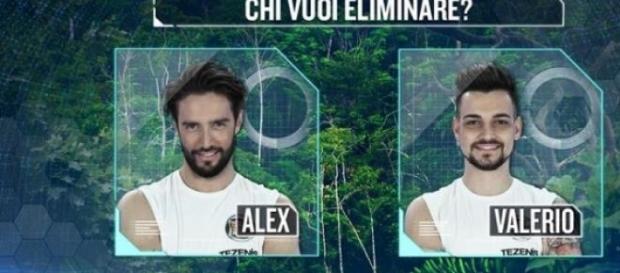 Chi vuoi eliminare Alex Belli o Valerio Scanu? Chi vuoi eliminare Alex Belli o Valerio Scanu?