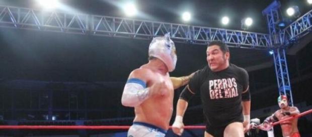 ¨El Hijo del Perro Aguayo¨ y ¨Myzteziz¨ ¨El Hijo del Perro Aguayo¨ y ¨Myzteziz¨