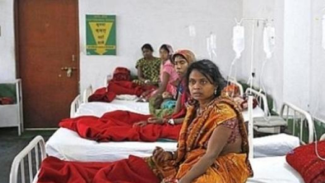 En inde, la stérilisation de masse a la cote ...