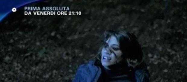 Il Bosco, la fiction tv di Canale 5 Il Bosco, la fiction tv di Canale 5