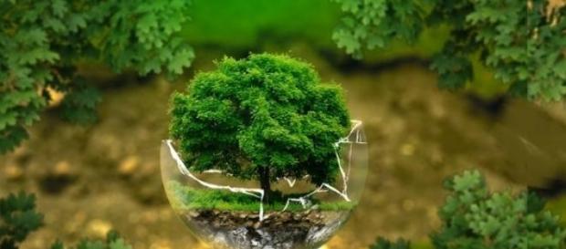 Engenharia Ambiental no Brasil Engenharia Ambiental no Brasil