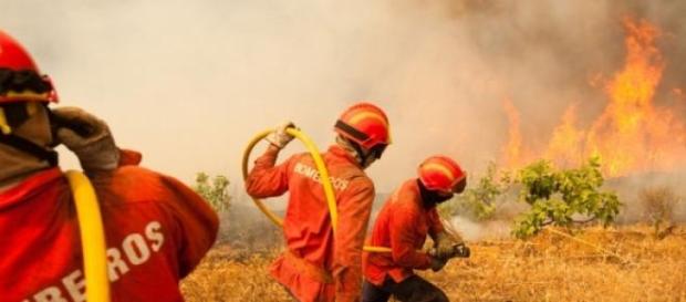 Incêndios tiveram origem em queimadas Incêndios tiveram origem em queimadas