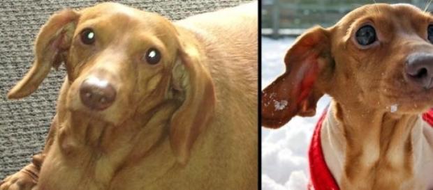 O antes e depois mais amoroso de sempre O antes e depois mais amoroso de sempre