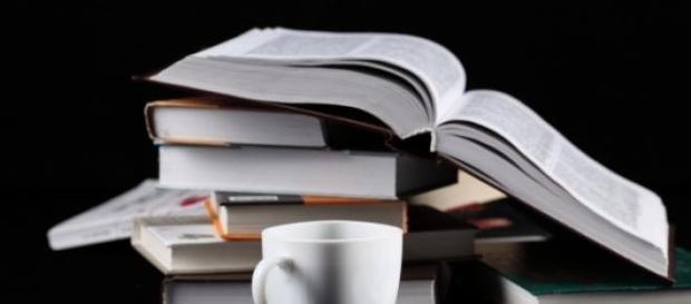Quinze dias de poesia para os amantes da cultura Quinze dias de poesia para os amantes da cultura