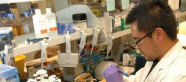 Son investigaciones científicas de vanguardia Son investigaciones científicas de vanguardia