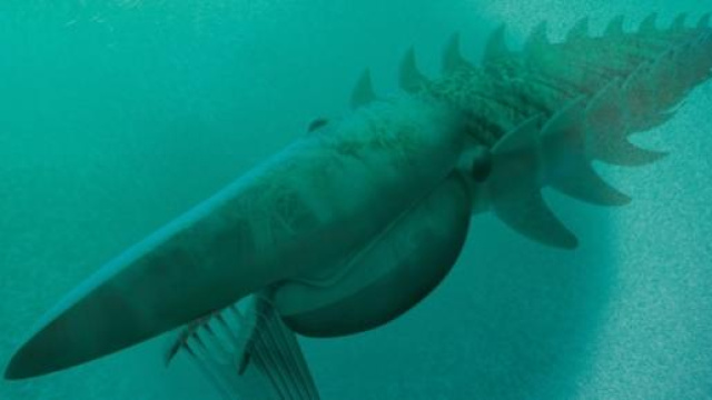 Non era un mostro predatore