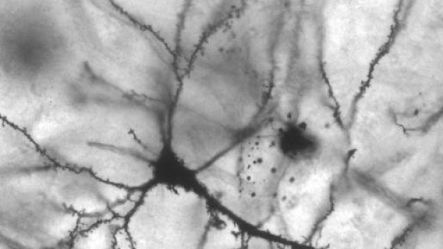 Passo avanti per la ricerca italiana