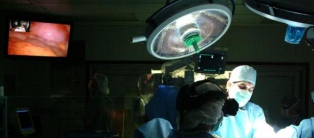 First ever successful penis transplant surgery. First ever successful penis transplant surgery.