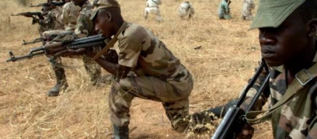 L'armée du Niger aide son voisin, le Nigéria. L'armée du Niger aide son voisin, le Nigéria.
