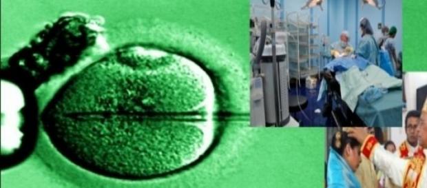 In vitro jest przede wszystkim narzędziem sporów In vitro jest przede wszystkim narzędziem sporów