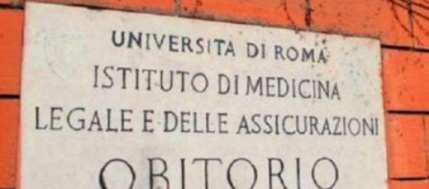 Roma, cadaveri abbandonati a La Sapienza Roma, cadaveri abbandonati a La Sapienza