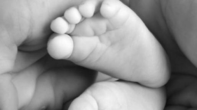 Frasi e dediche per la Festa del papà 2015