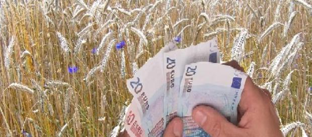 Gigantyczne pieniądze do wzięcia dla rolnictwa Gigantyczne pieniądze do wzięcia dla rolnictwa