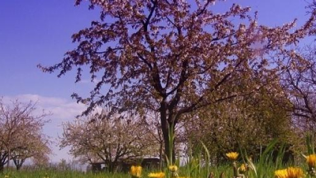 Primavera 2015, Pasqua, Pasquetta e cambio ora