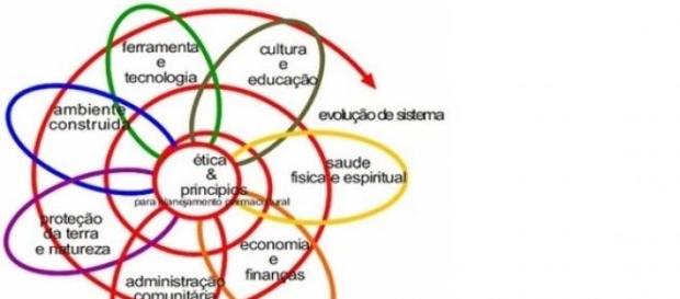 A flor da permacultura - criada por David Holmgren A flor da permacultura - criada por David Holmgren