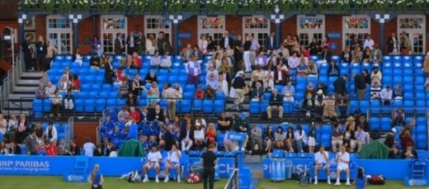 Queen's Club looking likely venue for Davis Cup Queen's Club looking likely venue for Davis Cup